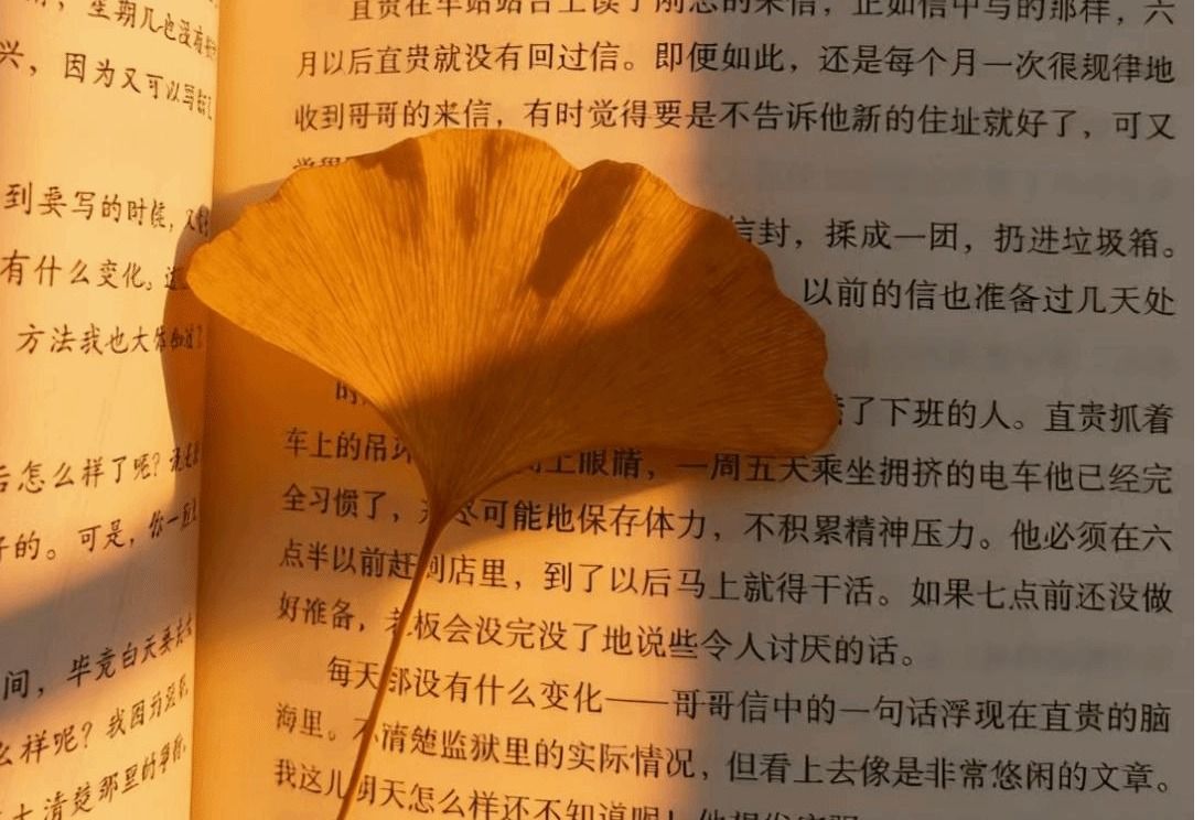 777水果游戏机单机版最新版下载