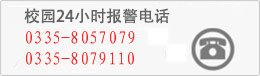 0335-8071670